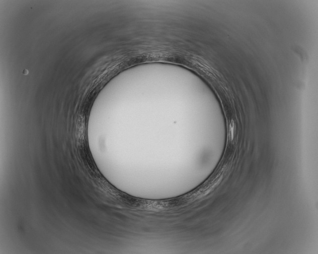 X0000115601251200911100945