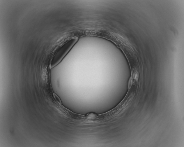 X0000115601252200911100945