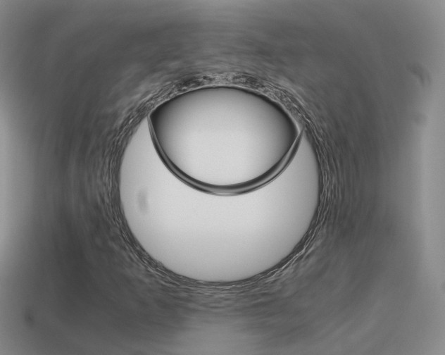 X0000115601253200911100945