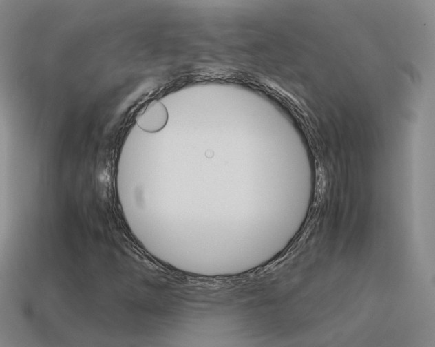 X0000115601254200911100945
