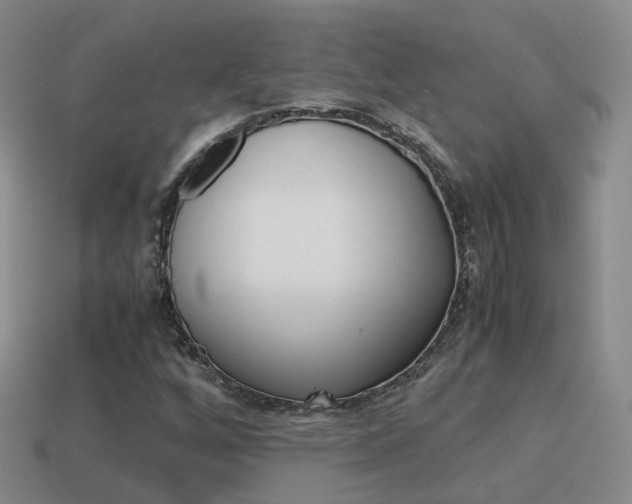 X0000115601256200911100945