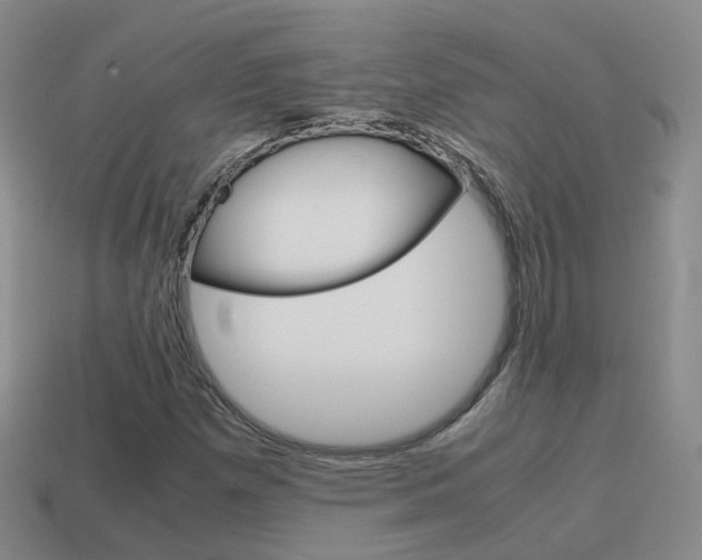 X0000115601257200911100945