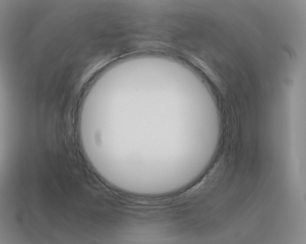 X0000115601261200911100945