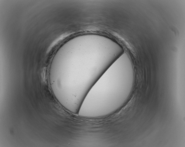 X0000115601262200911100945