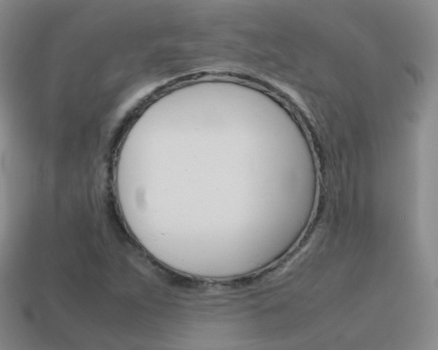 X0000115601263200911100945