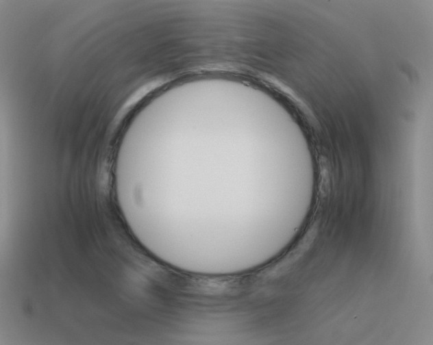 X0000115601266200911100944
