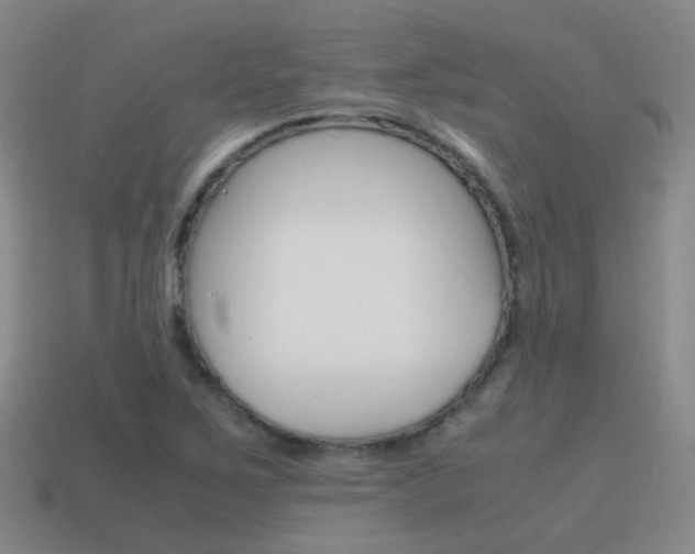 X0000115601267200911100944
