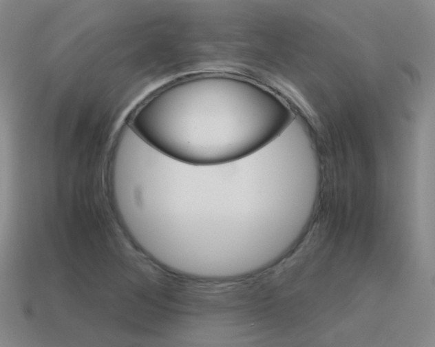 X0000115601268200911100944