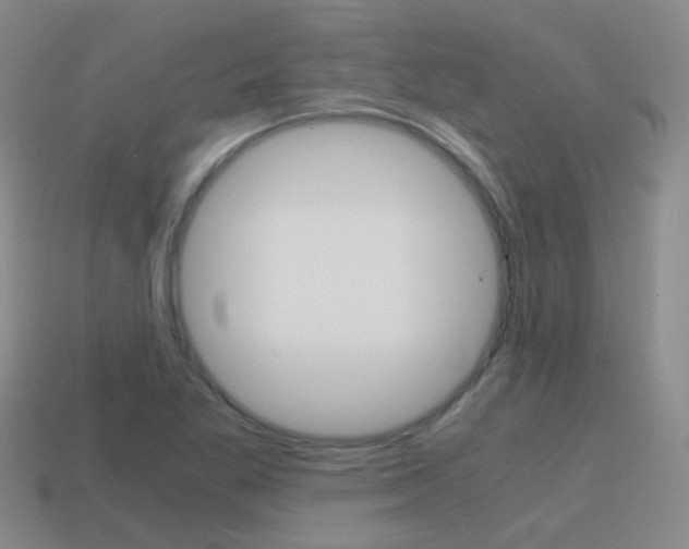 X0000115601269200911100944