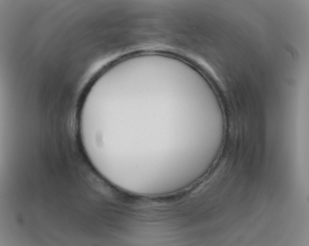 X0000115601270200911100944