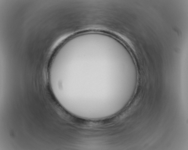 X0000115601271200911100944