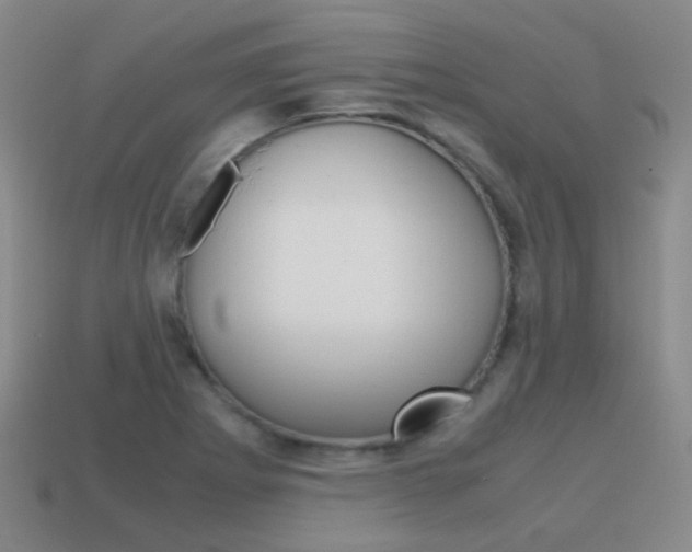 X0000115601273200911100944