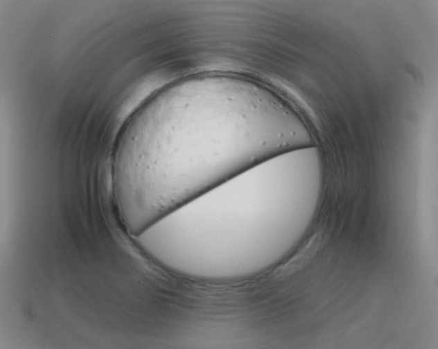 X0000115601274200911100944