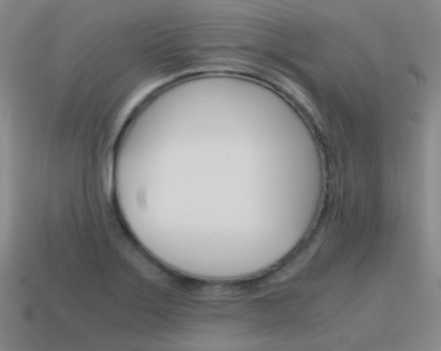 X0000115601275200911100944
