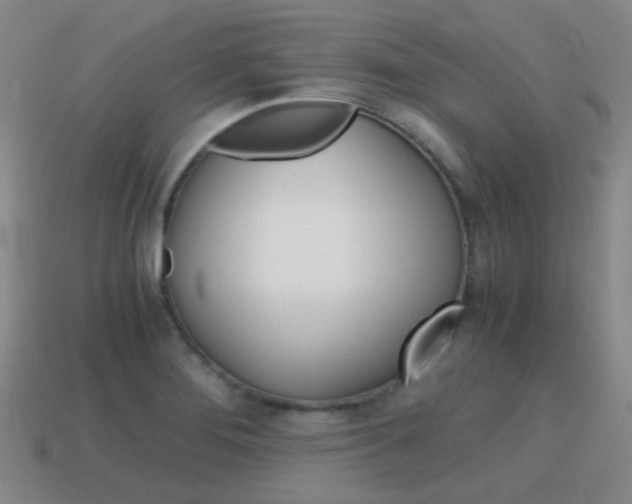 X0000115601276200911100944