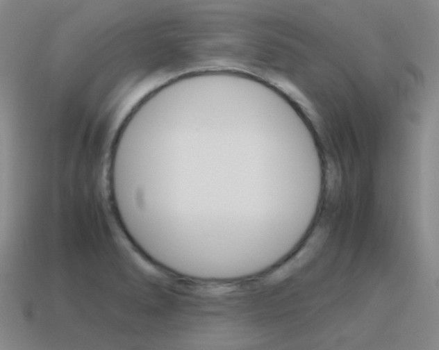 X0000115601278200911100944