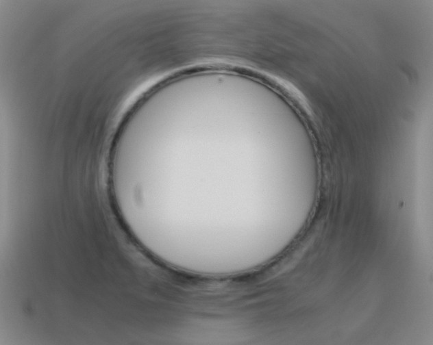 X0000115601279200911100944