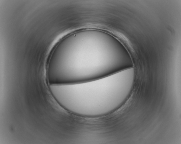 X0000115601280200911100944