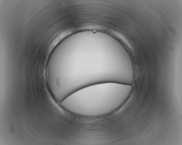 X0000115601282200911100944