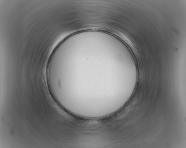 X0000115601283200911100944