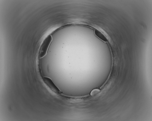 X0000115601285200911100944