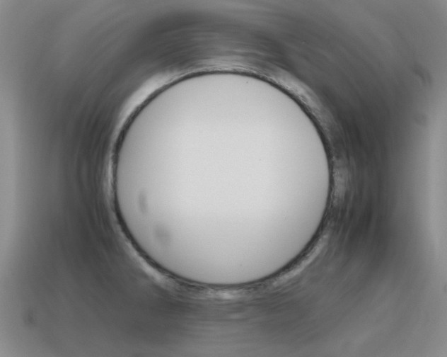 X0000115601286200911100944