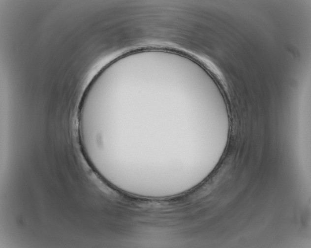 X0000115601287200911100944