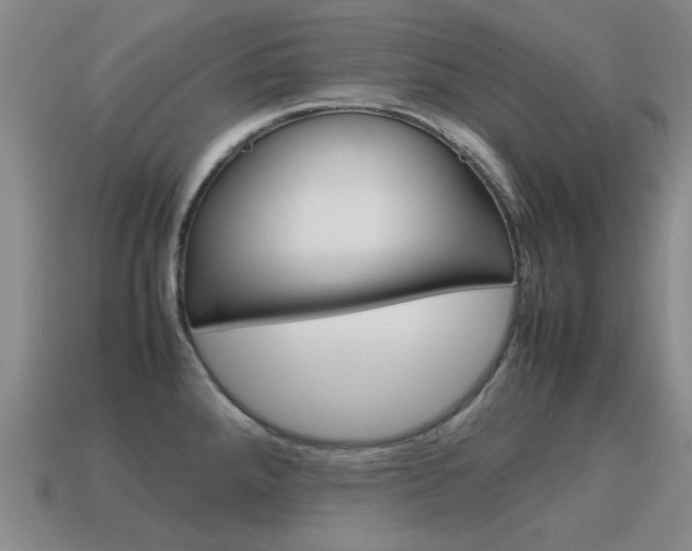 X0000115601288200911100944