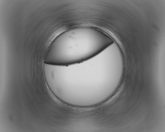 X0000115601289200911100944