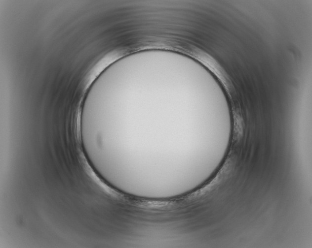 X0000115601290200911100944