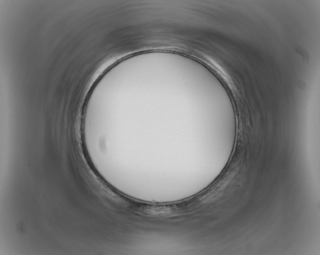 X0000115601291200911100944