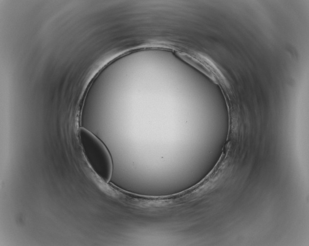 X0000115601292200911100944
