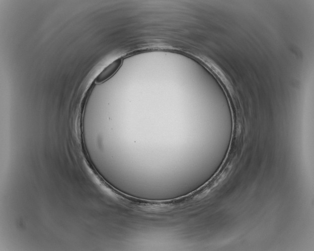 X0000115601293200911100944