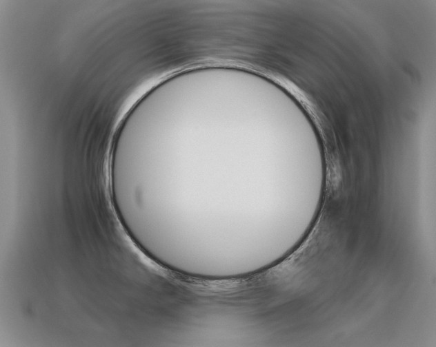 X0000115601294200911100944