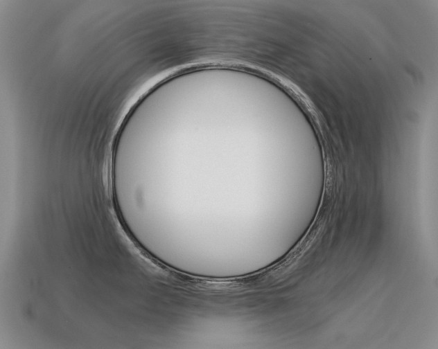X0000115601295200911100944
