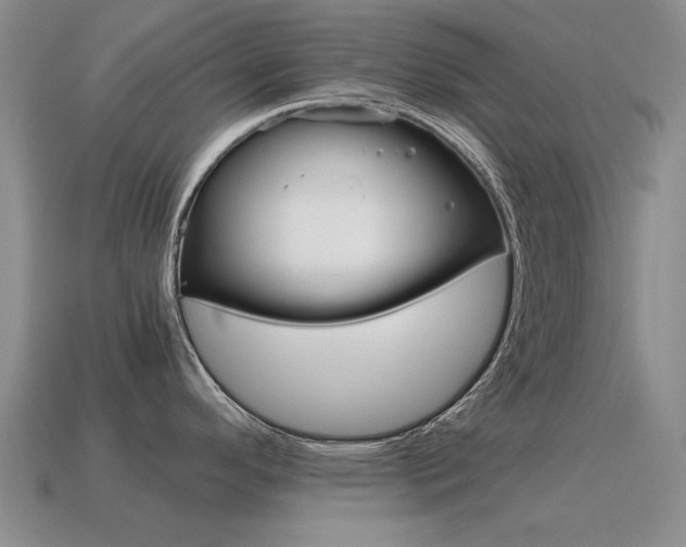 X0000115601296200911100944