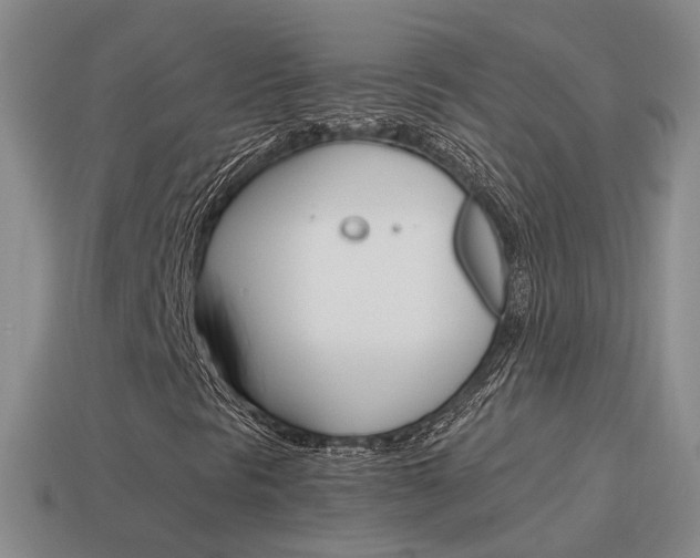 X0000115601297200911100943