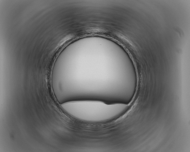 X0000115601305200911100944