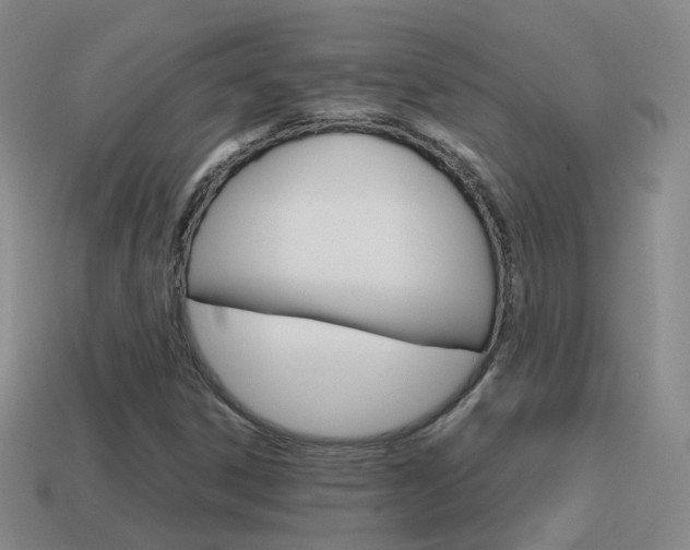 X0000115601306200911100944