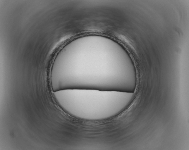 X0000115601307200911100944