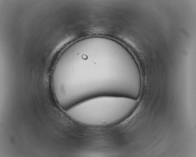 X0000115601309200911100944