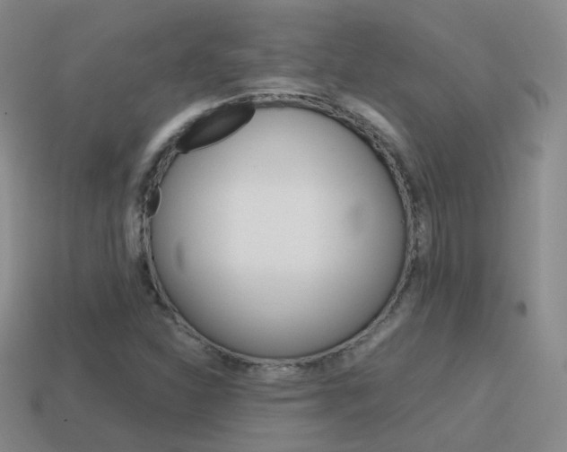 X0000115601310200911100944