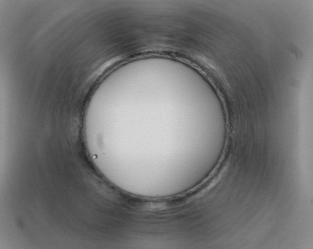 X0000115601313200911100944