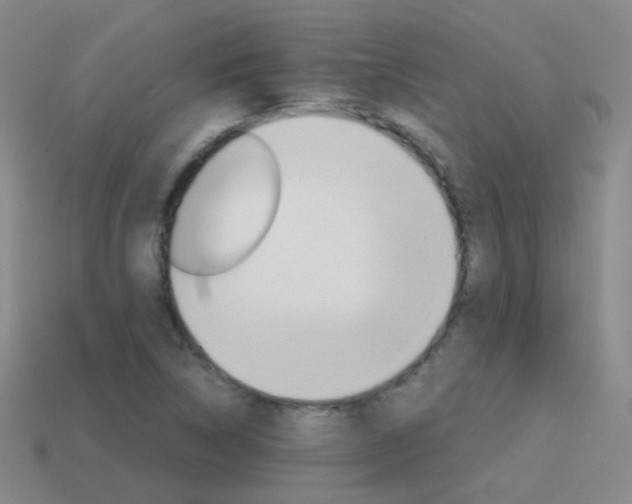 X0000115601314200911100944
