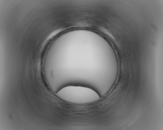 X0000115601315200911100944