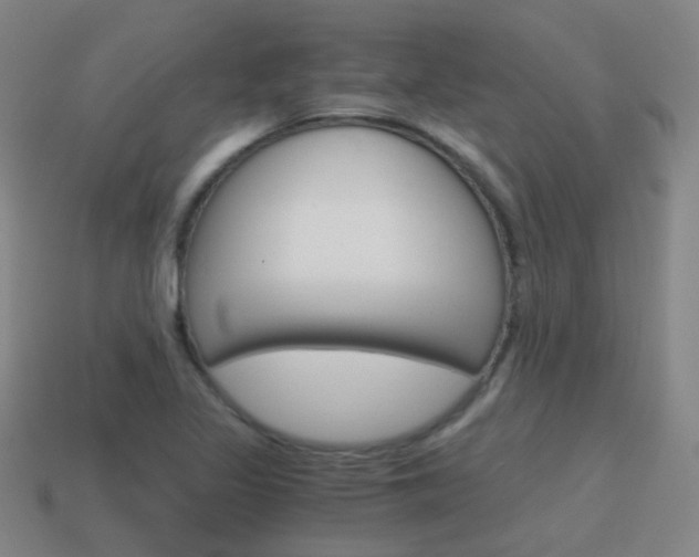 X0000115601317200911100944