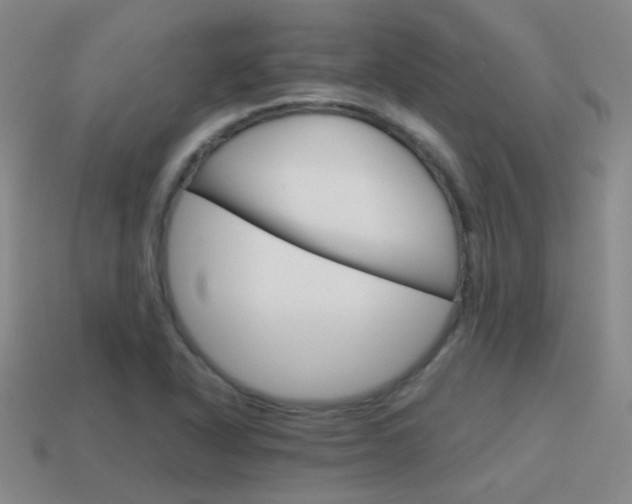 X0000115601318200911100944