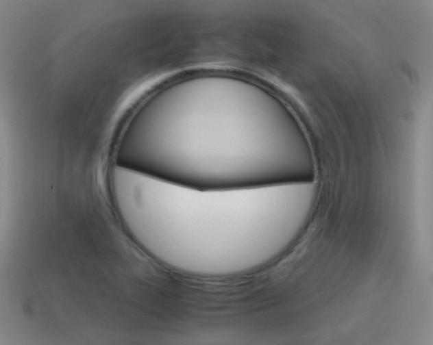 X0000115601319200911100944