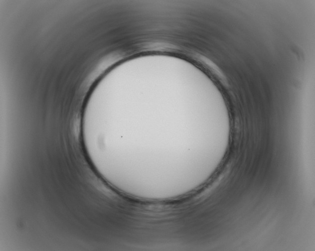 X0000115601322200911100944