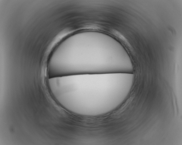 X0000115601323200911100944